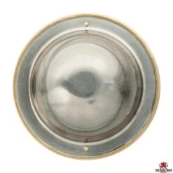 6 1/2" Stainless Steel Buckler