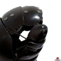 SPES Lobster Heavy HEMA Full Thumb Sparring Gloves -Fencing Shop lobster full thumb heavy gloves 2