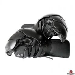 SPES Lobster Heavy HEMA Sparring Gloves
