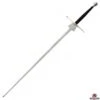 Regenyei Armory Wide Federschwert -Fencing Shop wide full